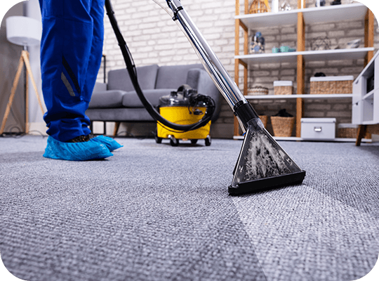 quelqu'un passe l'aspirateur sur le tapis