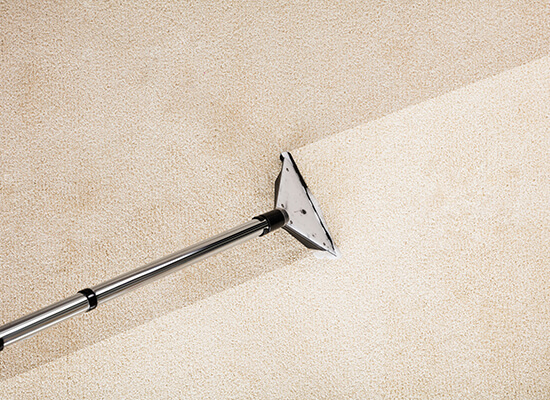 vacuum cleaning the carpet