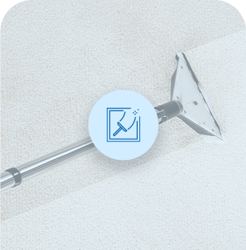 Carpet care & upkeep